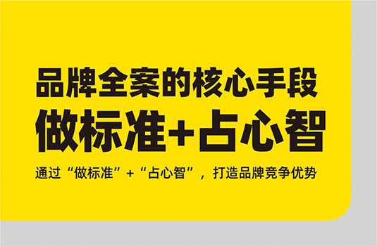 品牌全案策划——“做标准”与“占心智”